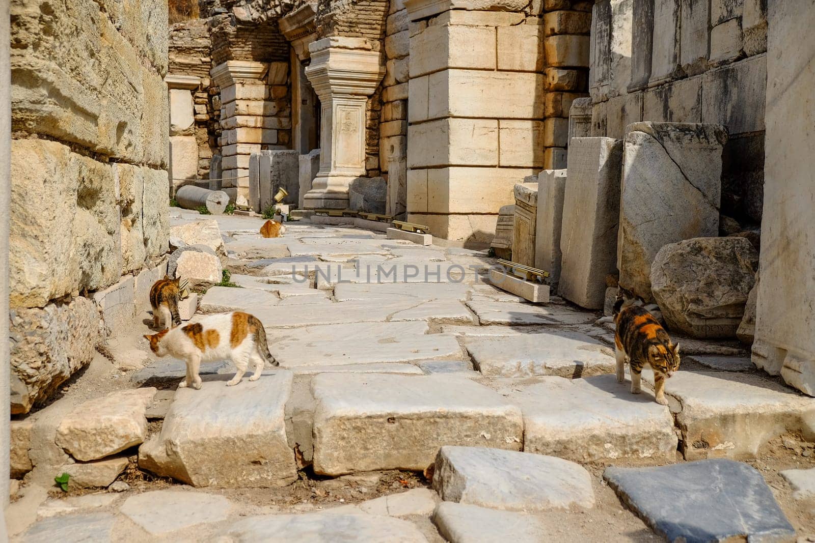 Ancient statue in the city of Ephesus, Turkey . High quality photo