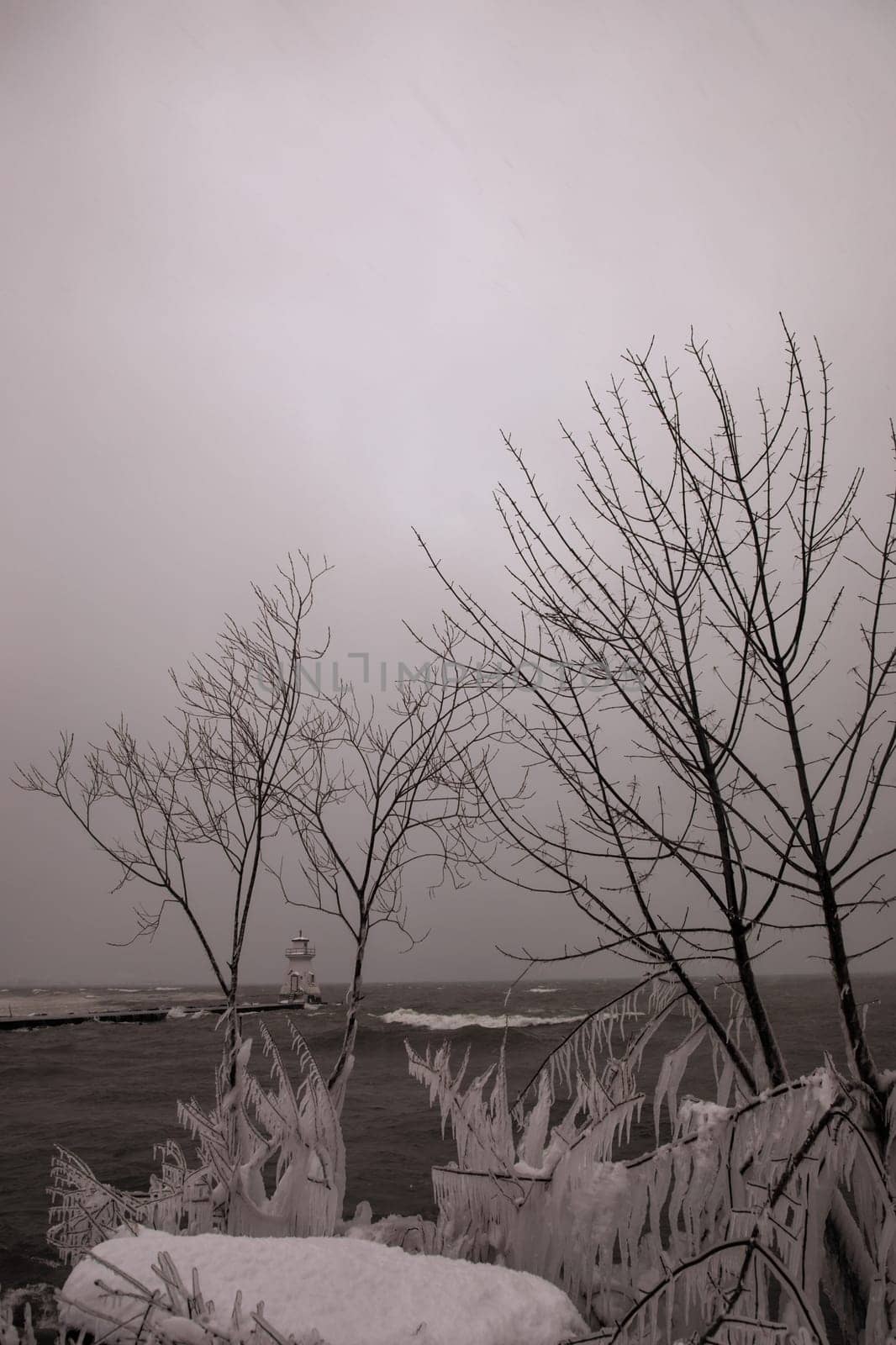 Bare trees covered in snow with a lighthouse and water in the background and an overcast day in the Bruce Peninsula, Ontario by Granchinho