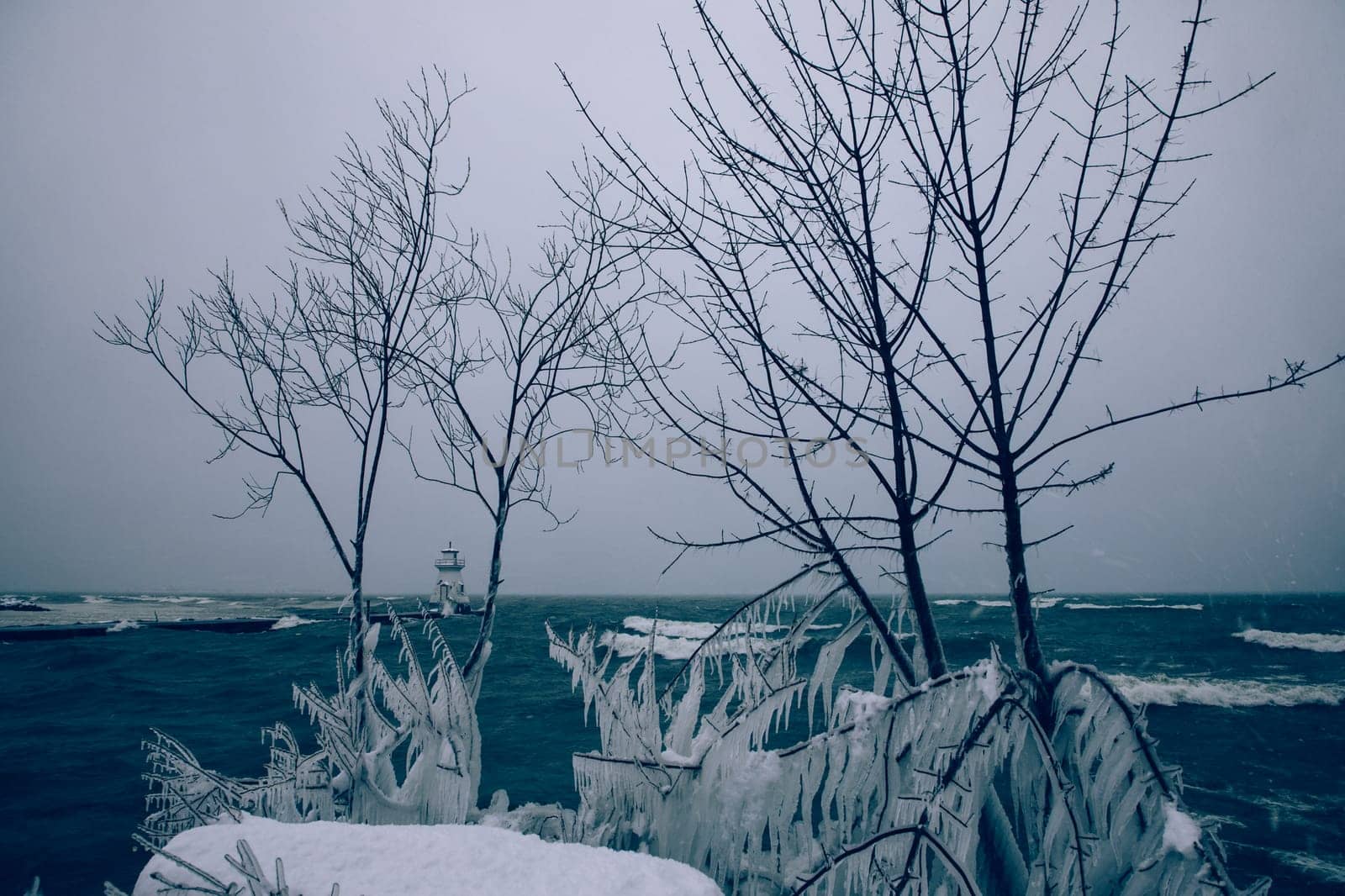 Bare trees covered in snow with a lighthouse and water in the background and an overcast day in the Bruce Peninsula, Ontario, Canada