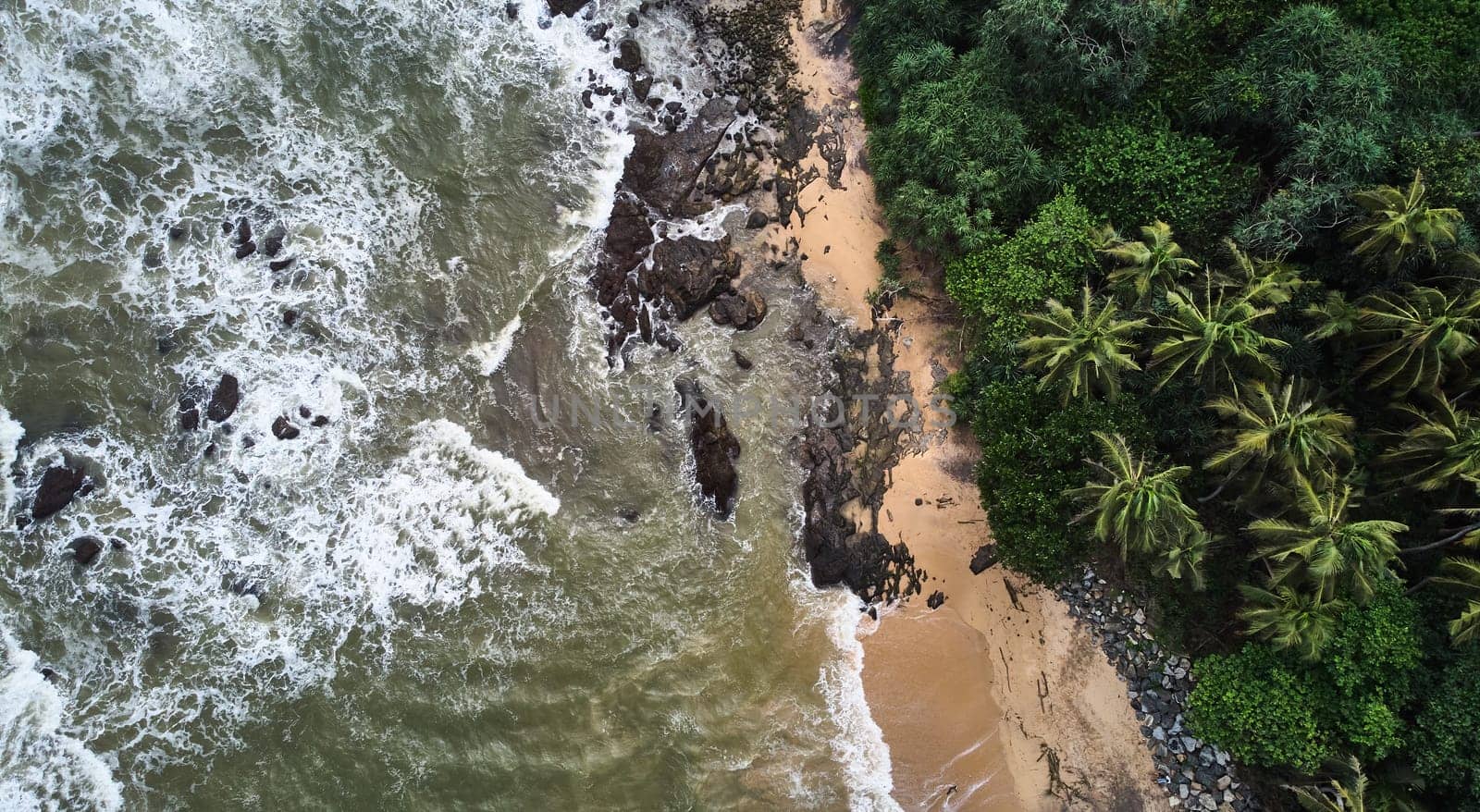 Aerial view of the beach with palm trees. Sri-lanka, Matara by driver-s