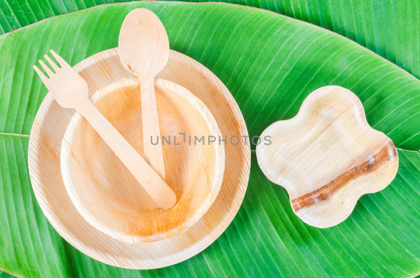 Kitchenware made from dried betel nut leaf palm, natural material. The Green product eco friendly concept.