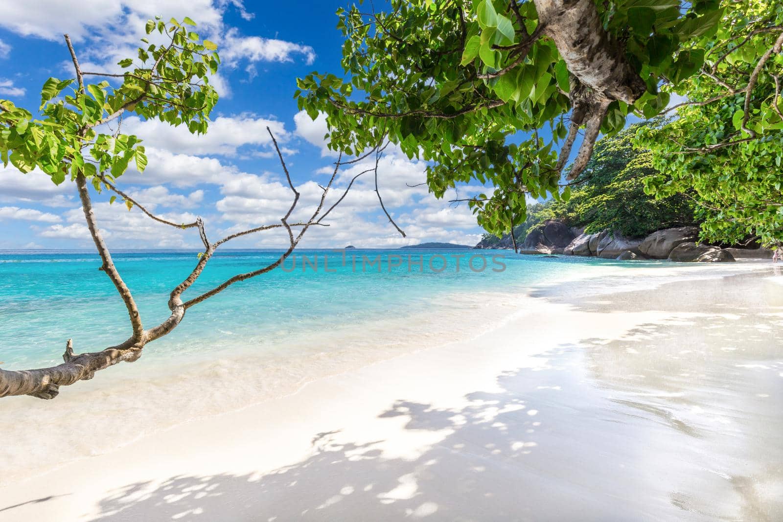 Beautiful sandy beach with wave crashing on sandy shore at Similan Islands Beautiful tropical sea Similan island No.4 at Similan national park, Phang nga Thailand