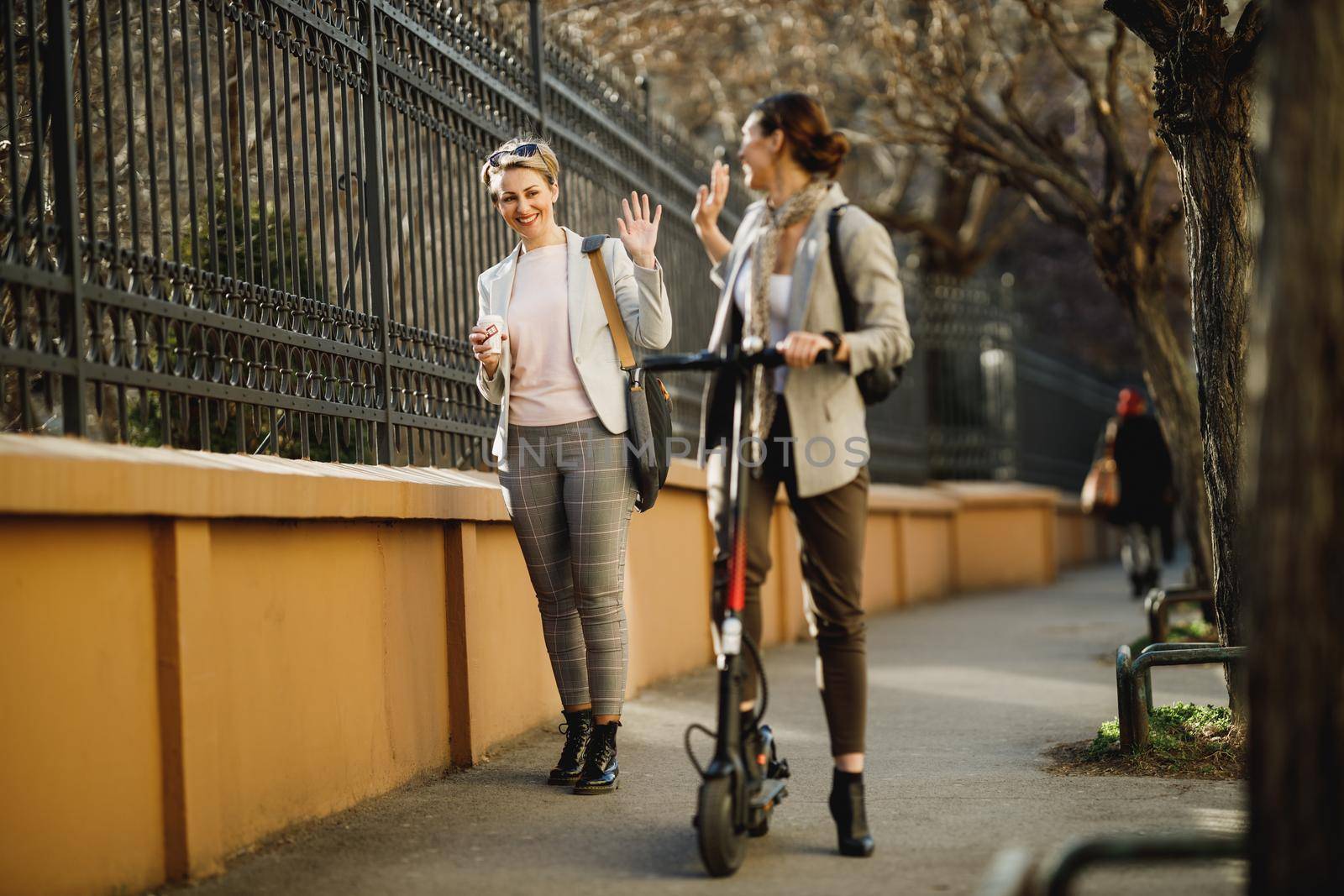 A two successful businesswomen greeting while going from work.