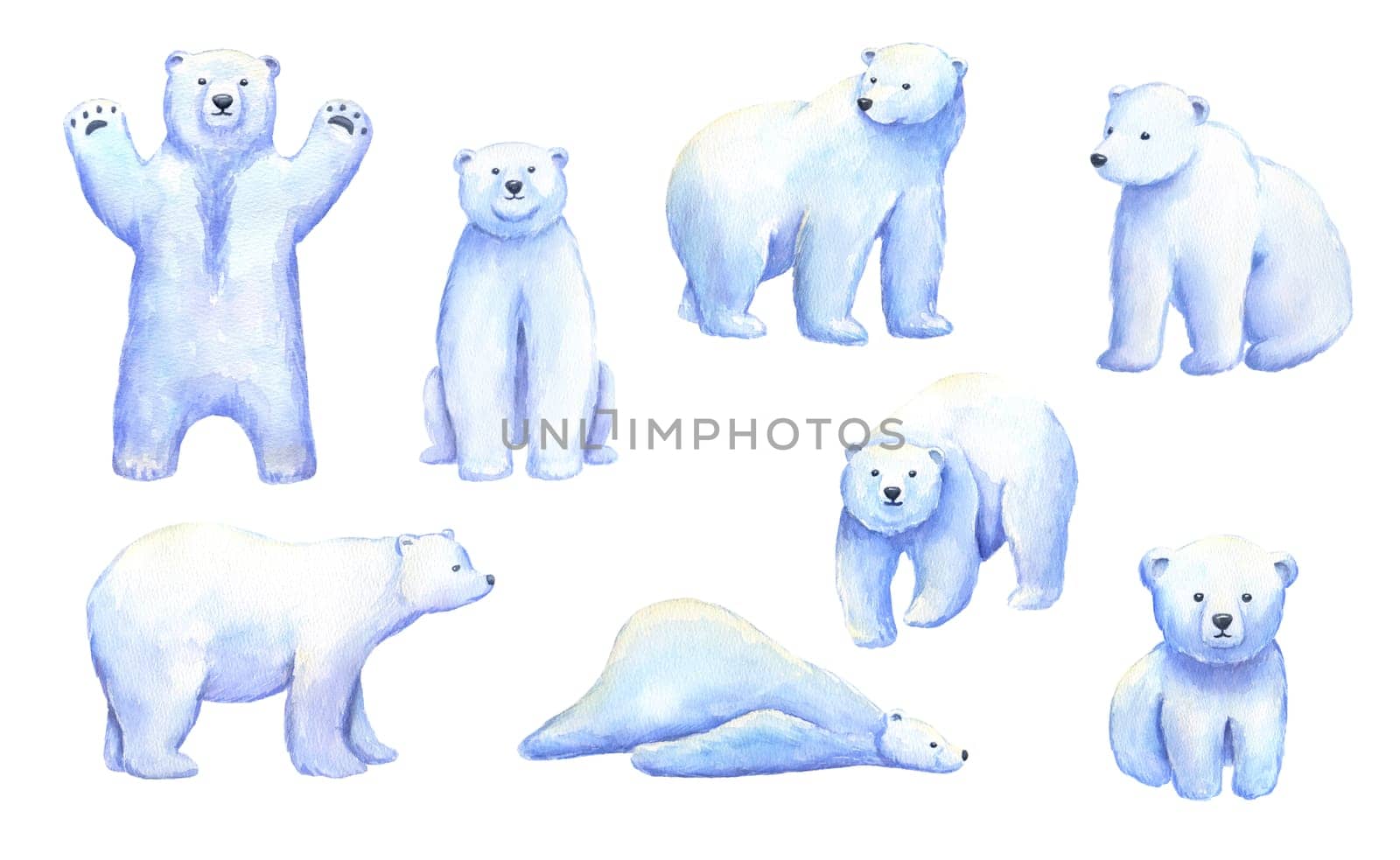 Baby white polar bear. Watercolor hand drawn illustration isolated on white. North animals set