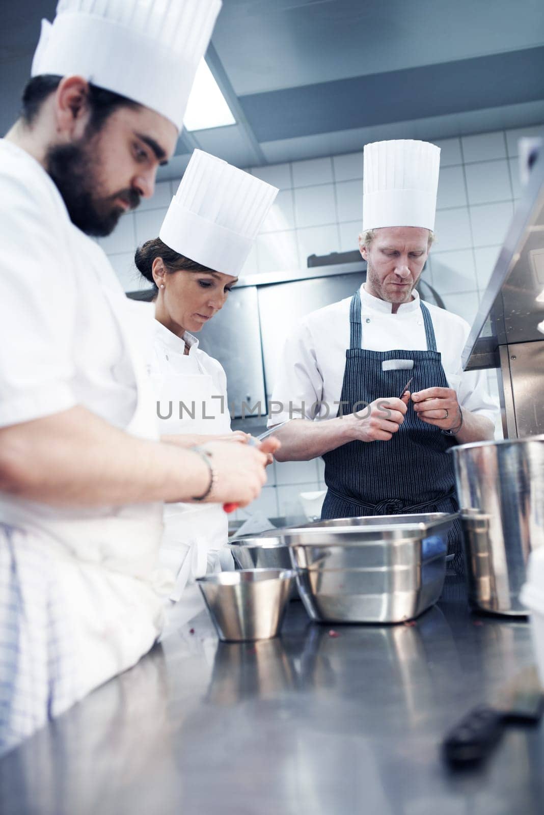 Everyone is working the line. chefs preparing a meal service in a professional kitchen