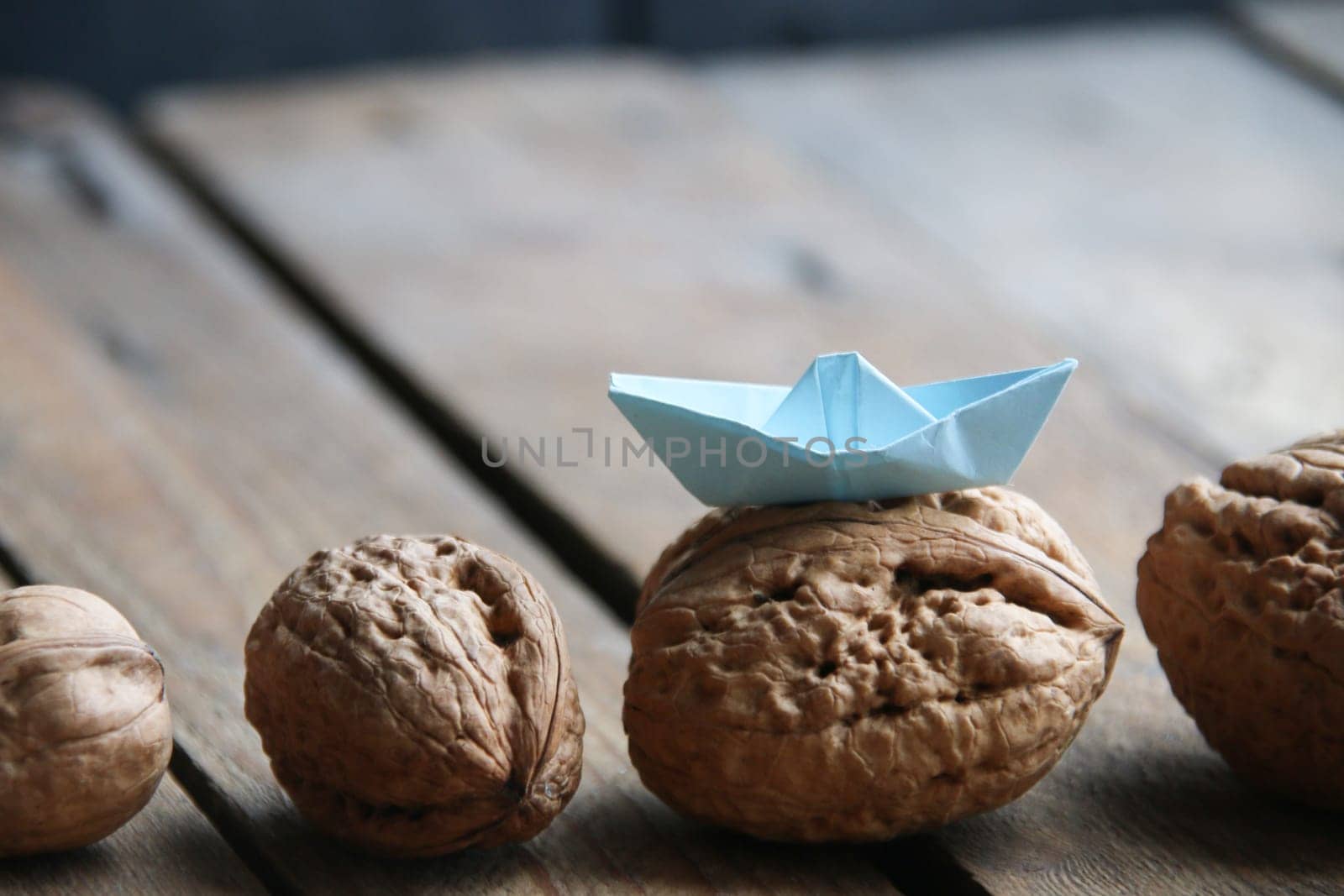 Leadership concept. Nuts and a paper boat. by Markgraf