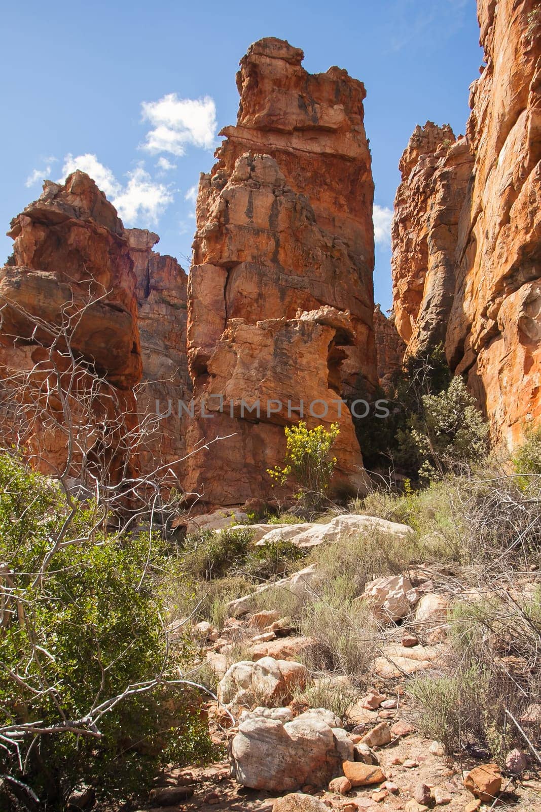 Cederberg Rock Formations 12834 by kobus_peche