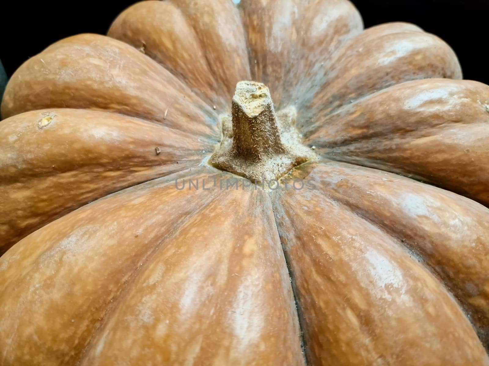 Decorative orange pumpkins on display at the farmers market in Germany. Orange ornamental pumpkins in sunlight.
