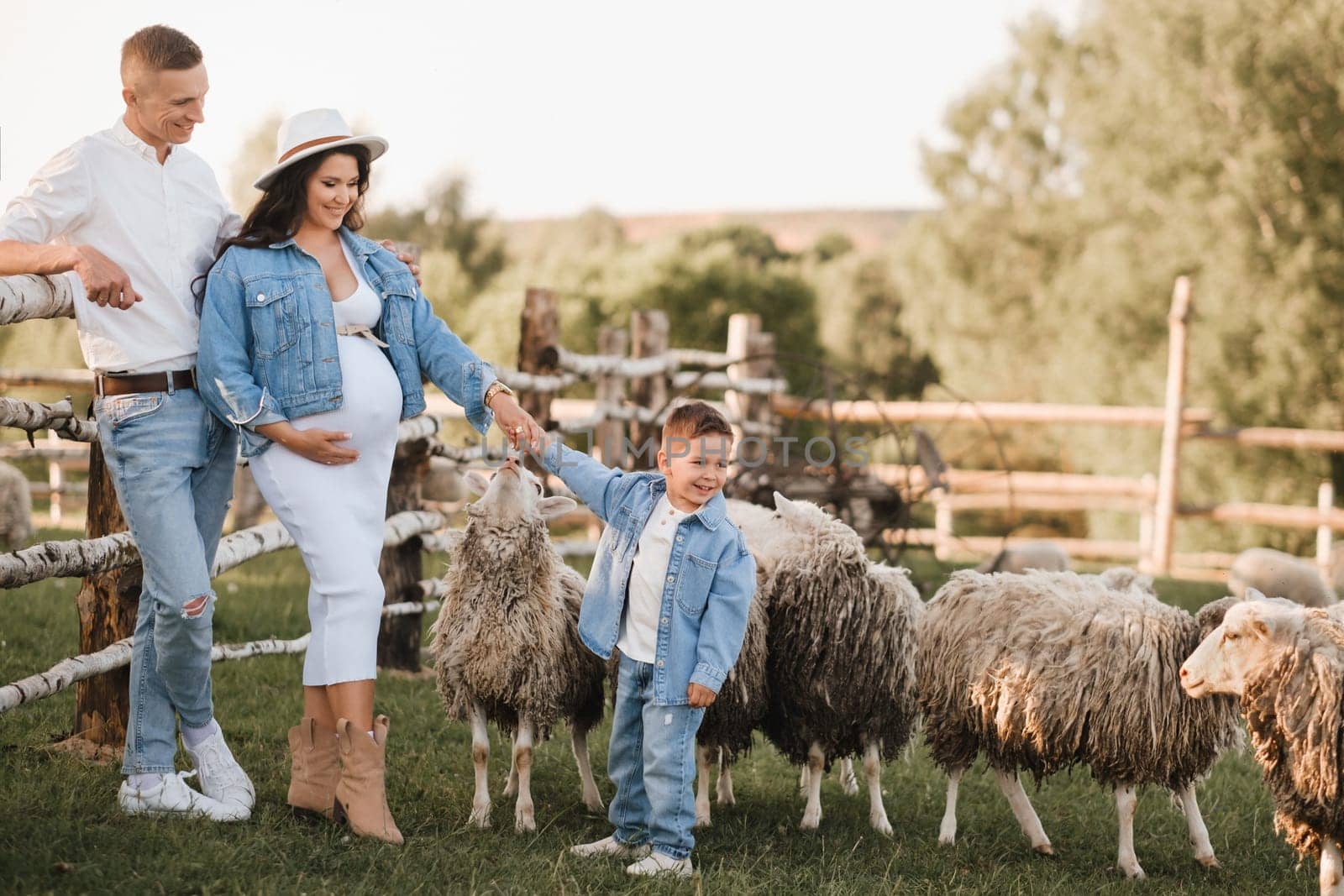 Stylish family in summer on a village farm with sheep.