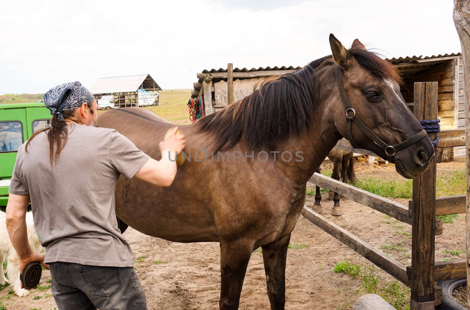 A man is engaged in cleaning a horse against the background of the countryside. High quality photo