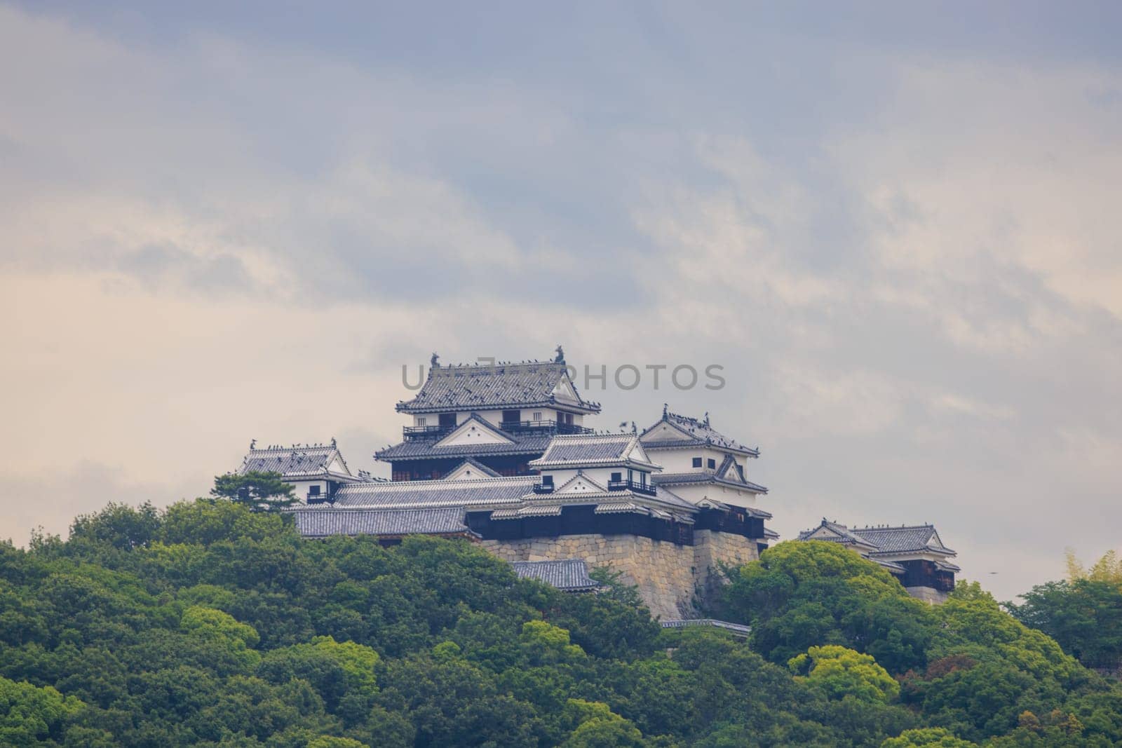 Black birds on roof of historic Matsuyama Castle in Ehime, Japan by Osaze