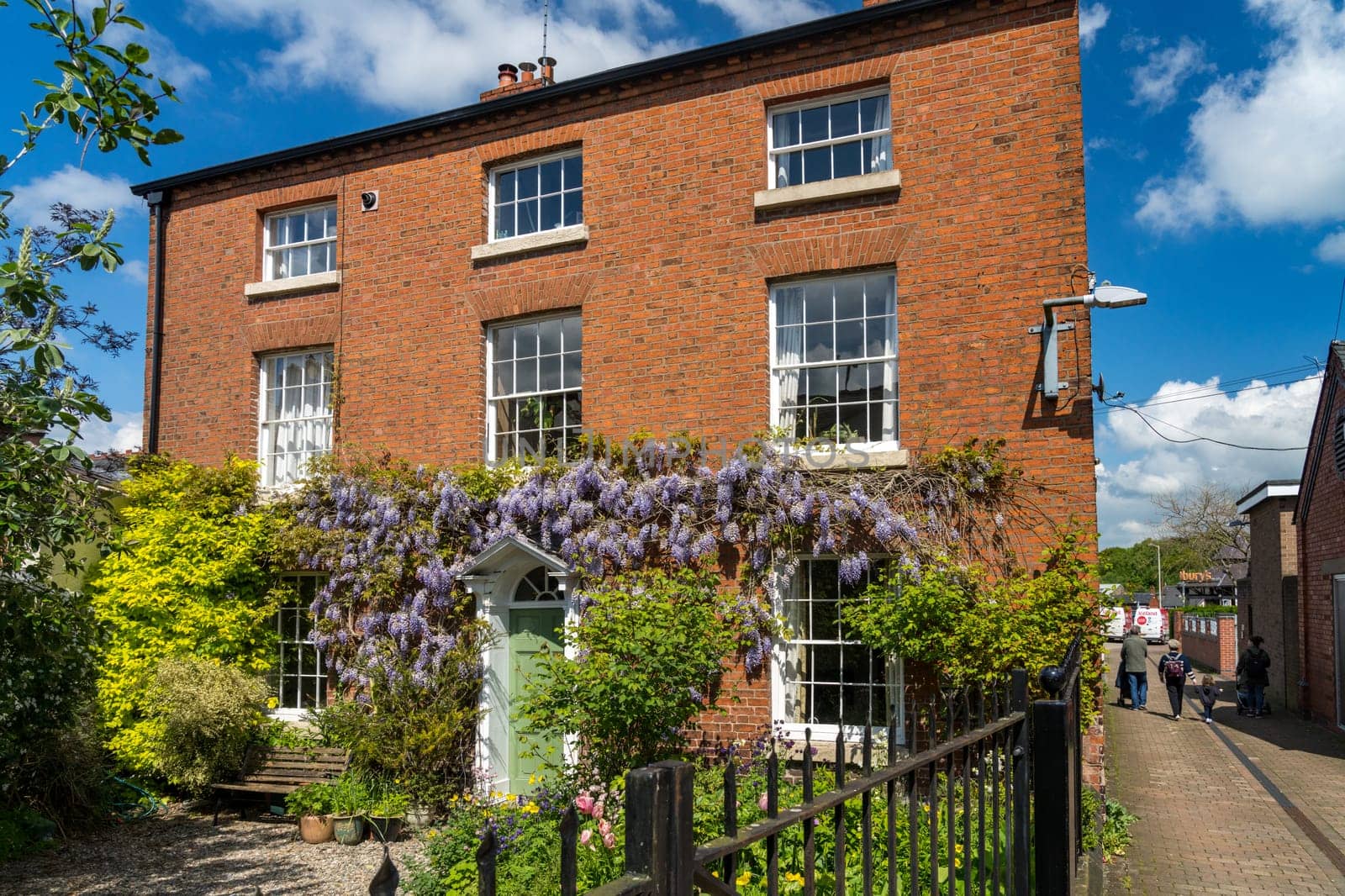 Oswestry, Shropshire - 12 May 2023: Georgian home with wisteria around the doorway in market town of Oswestry