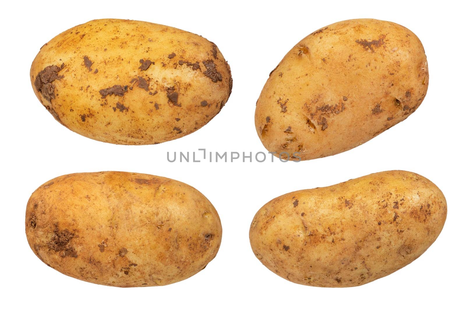 Flying vegetables. Unpeeled potato wedges with peel isolated on white background. The concept of not healthy eating or obesity from potatoes. To be inserted into a design or project