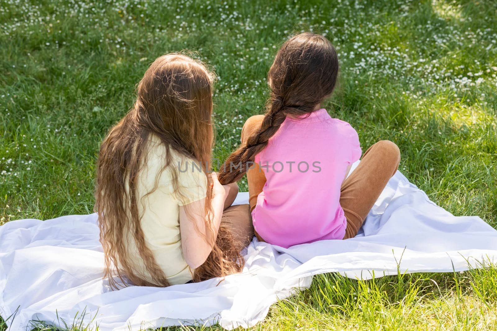 Back View Little Girl With Long Hair braids Sister's Hair Sitting On Grass in Meadow At Sunny Day. Siblings Love And Care, True Friendship. Horizontal Plane. by netatsi