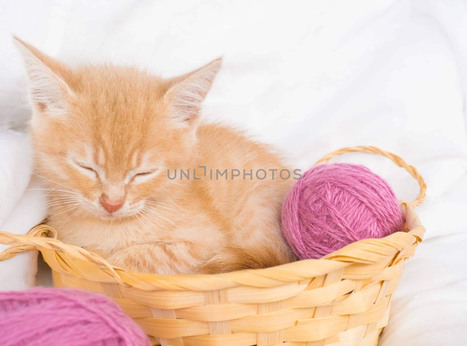 Ginger kitten sleeps in a straw basket with pink balls, skeins of thread on a white bed