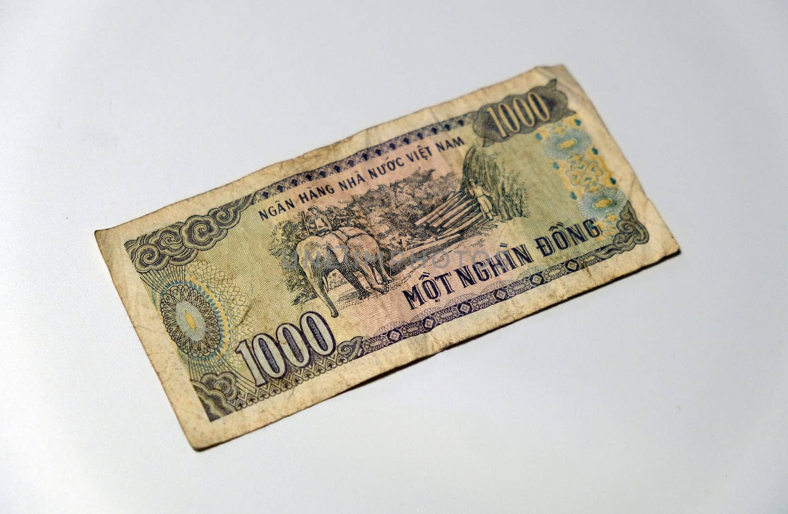 Vietnamese dong. Vietnamese currency. High quality photo.