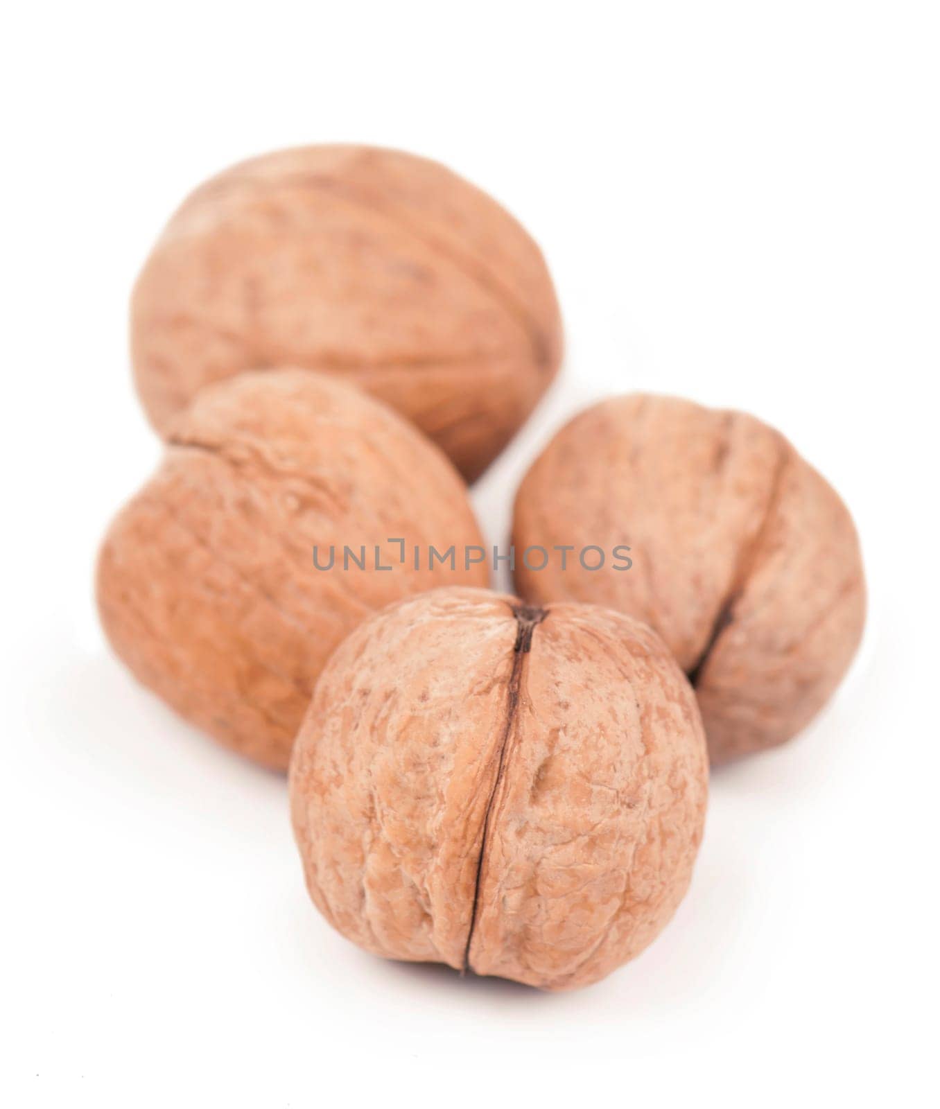 Walnut isolated on a white by aprilphoto