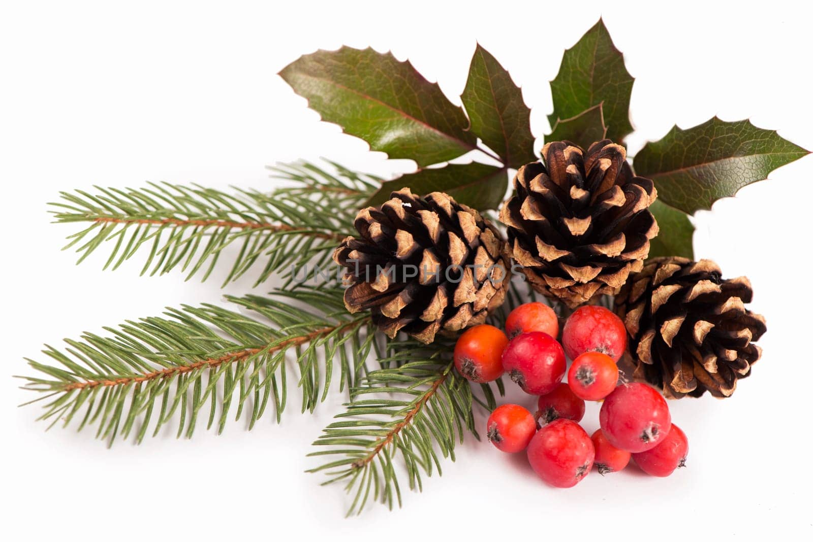 Christmas seasonal border of holly, mistletoe, sprigs with pine cones over white background