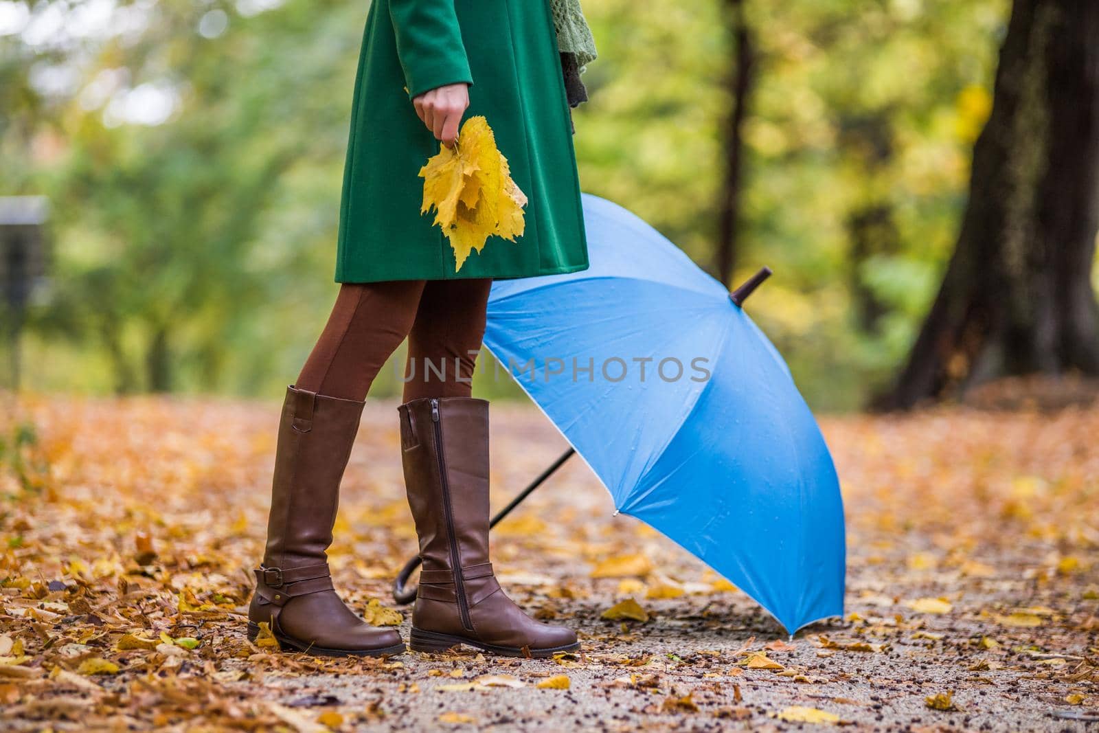 Close up photo of umbrella and woman in boots holding fall leaves while standing in the park.