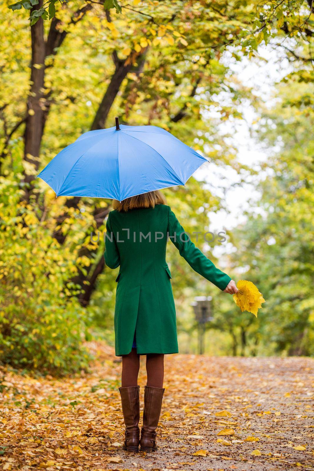 Woman holding umbrella and fall  leaves while standing in the park.