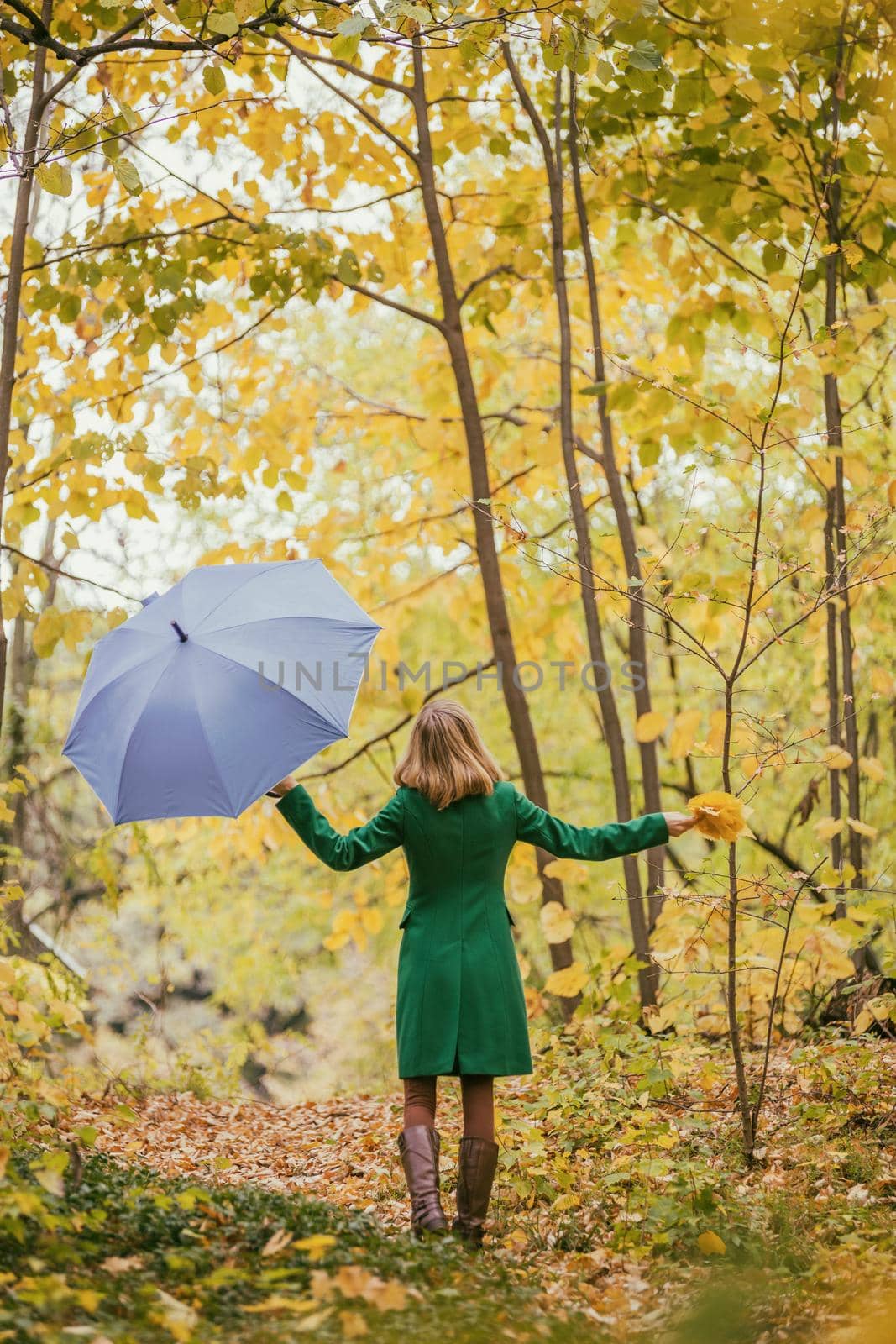 Woman holding umbrella and fall leaves by Bazdar