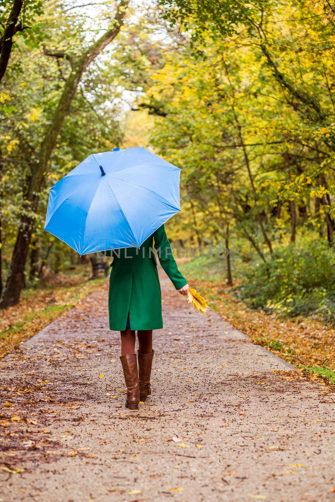 Woman holding umbrella and fall leaves while walking in the park.