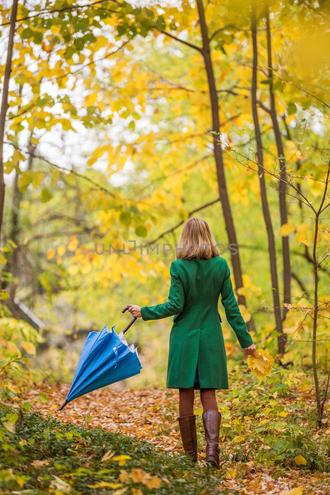 Woman with umbrella and fall leaves walking in the park by Bazdar