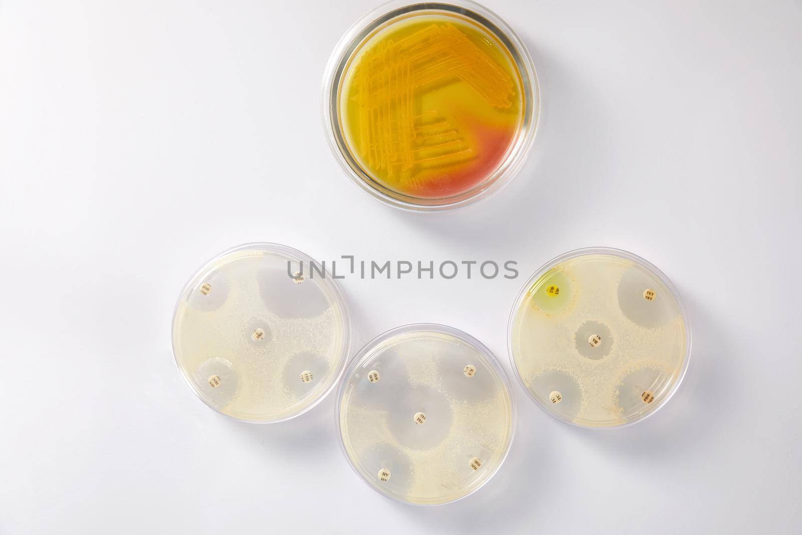 Concept of Pharmaceutical Research of Antibiotics, Curing Disease Fighting Epidemics