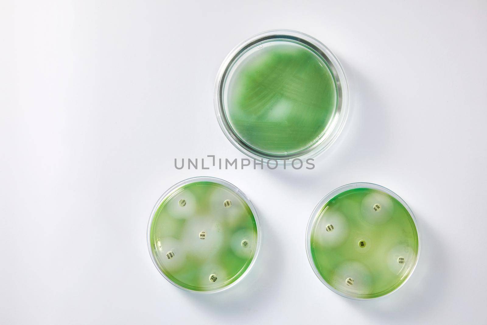 Concept of Pharmaceutical Research of Antibiotics, Curing Disease Fighting Epidemics