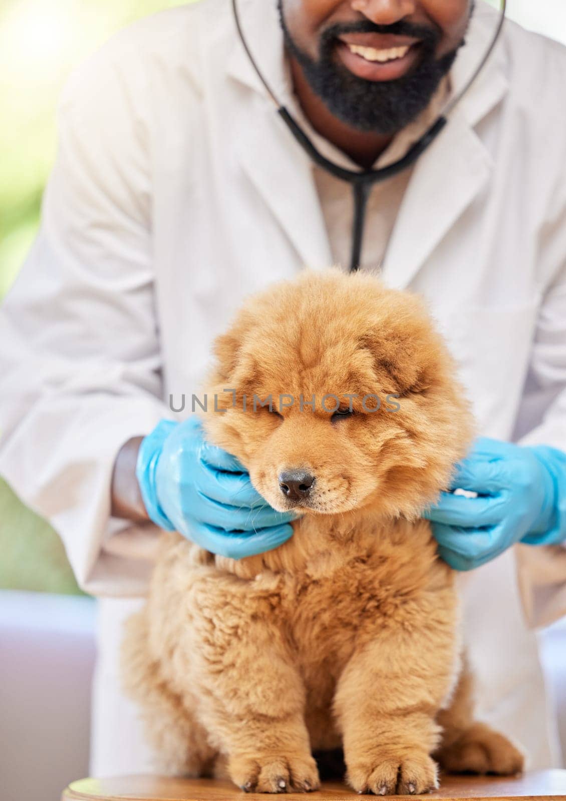 Man, vet and check of puppy at clinic, medical and animal support with a smile. Happy, African male person expert and veterinarian with a cute chow chow dog and professional with care at job.