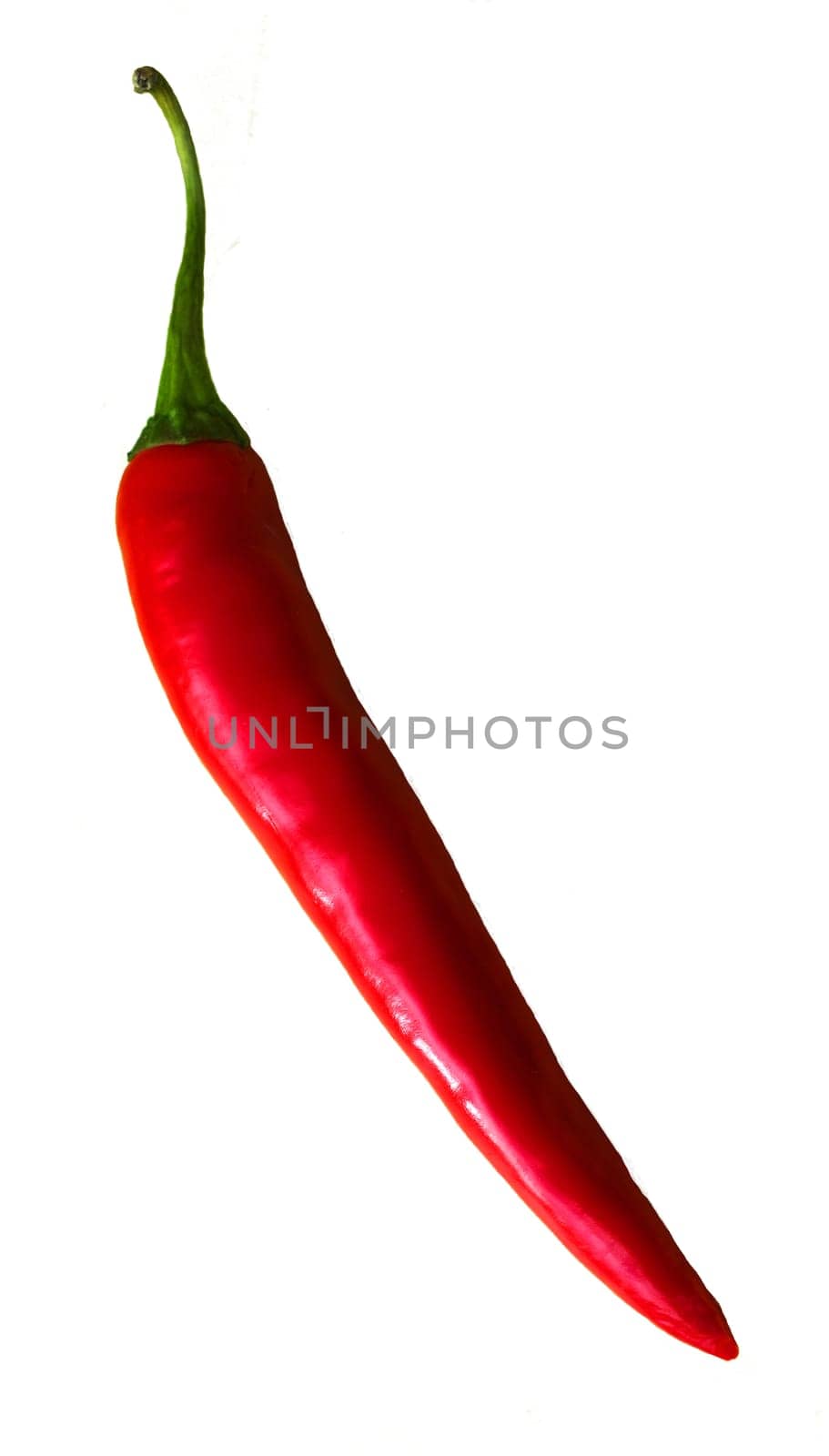 Fresh uncut red pepper. White background