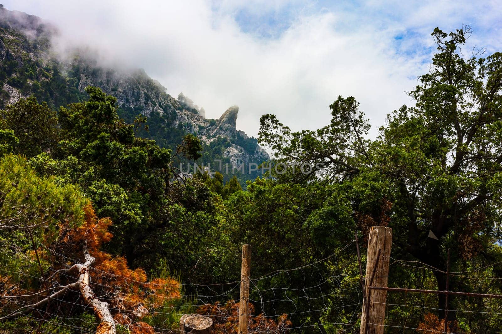 Mystical mountain landscape in Mallorca. High quality photo