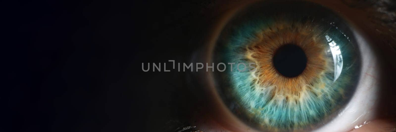 Closeup of green human eye in low light technique by kuprevich
