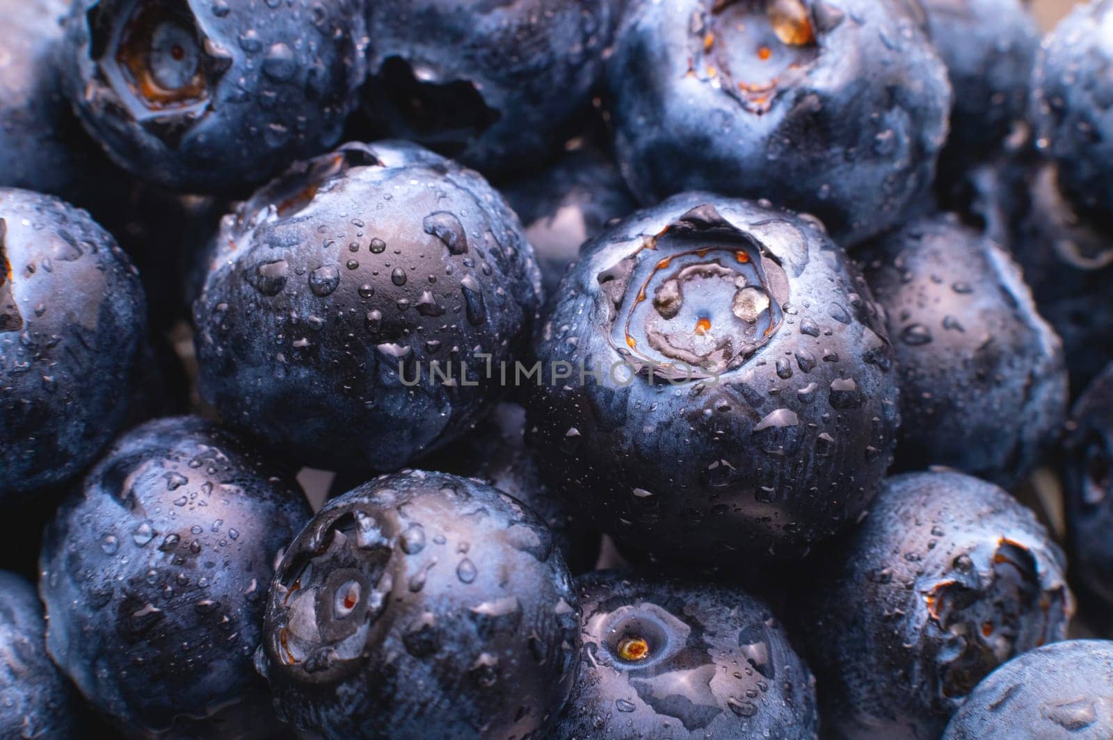 Blueberry berry background. Macro. Fresh blueberry background. Water drops on ripe blueberries. Background from freshly picked blueberries, close-up. Blue berries of blueberry close-up, macro.