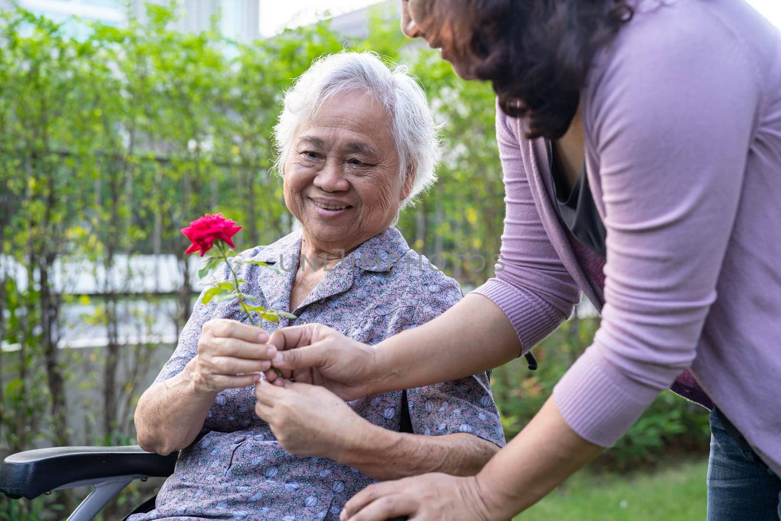 Asian elderly woman holding red rose flower, smile and happy in the sunny garden. by pamai