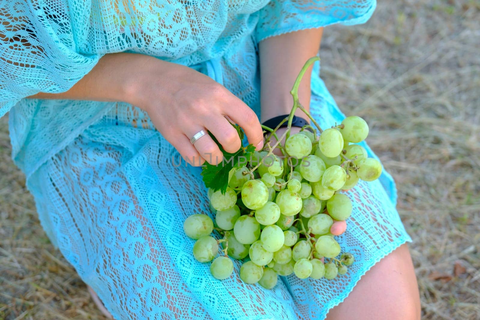 woman holding grapes, green grapes in woman hands. download photo