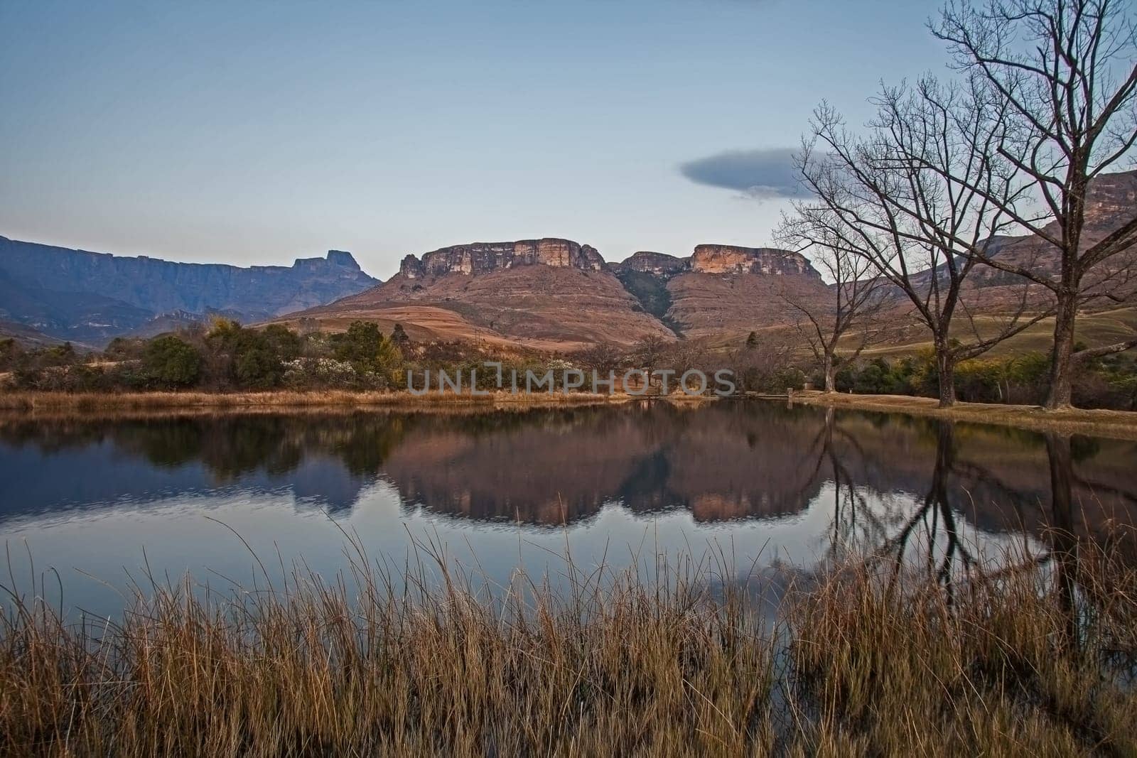 Early morning reflections of mountains and trees in a calm Drakensberg lake in Royal Natal National Park. KwaZulu-Natal. South Africa