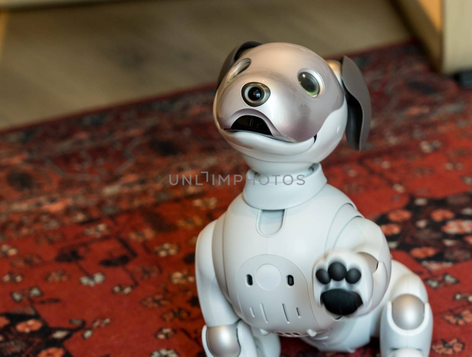 Sony Aibo dog shaking its paw while sitting on carpet at home by steheap