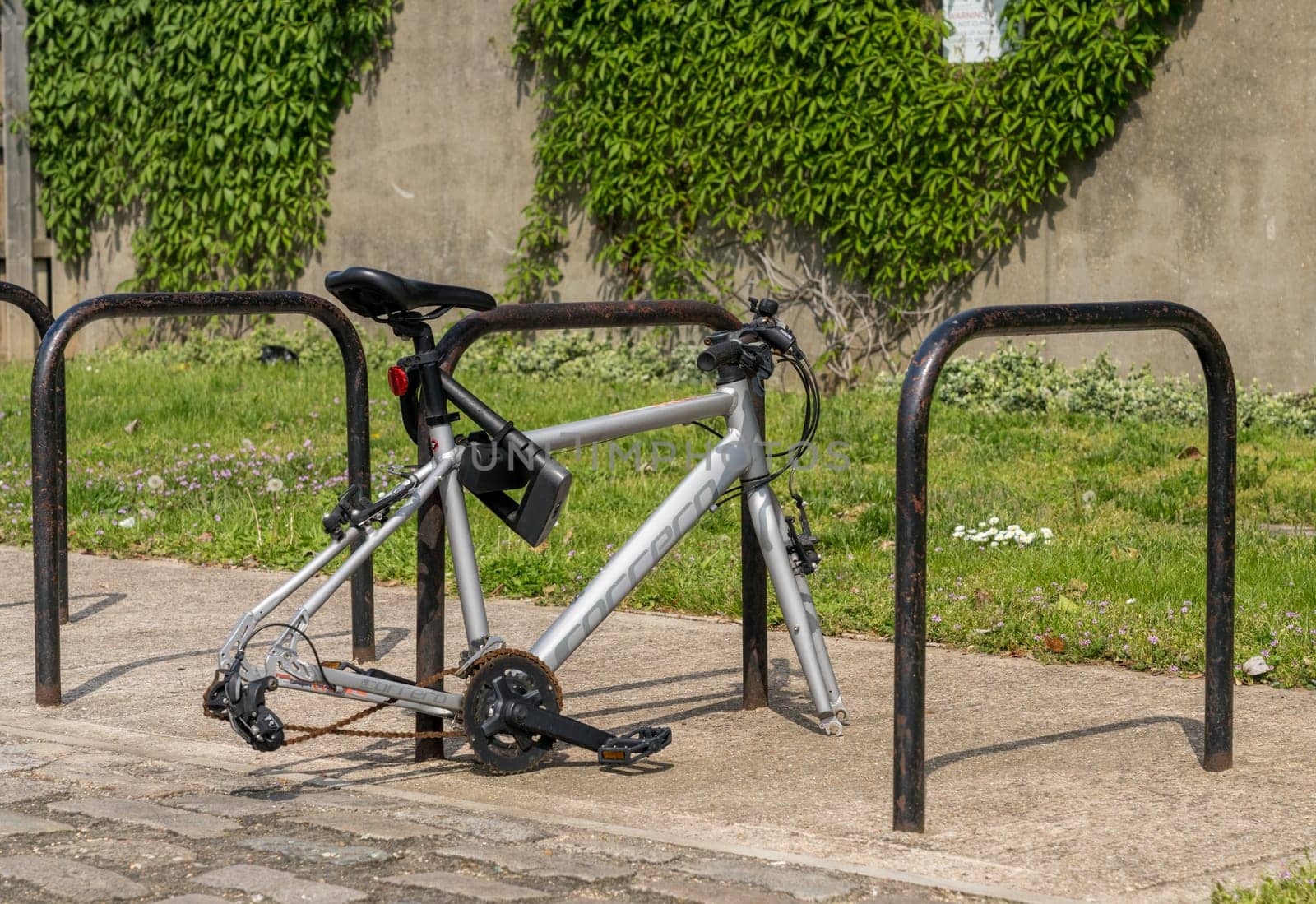 Modern bicycle frame locked to stand but missing wheels by steheap