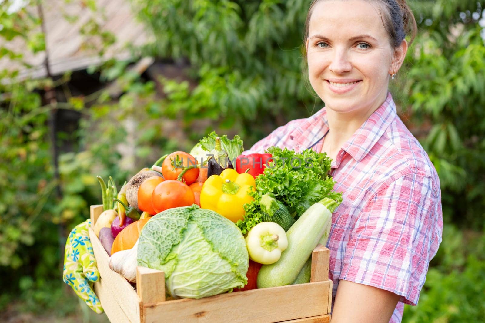 Farmer woman in gloves holding wooden box full of fresh raw vegetables. Basket with vegetable in the hands.