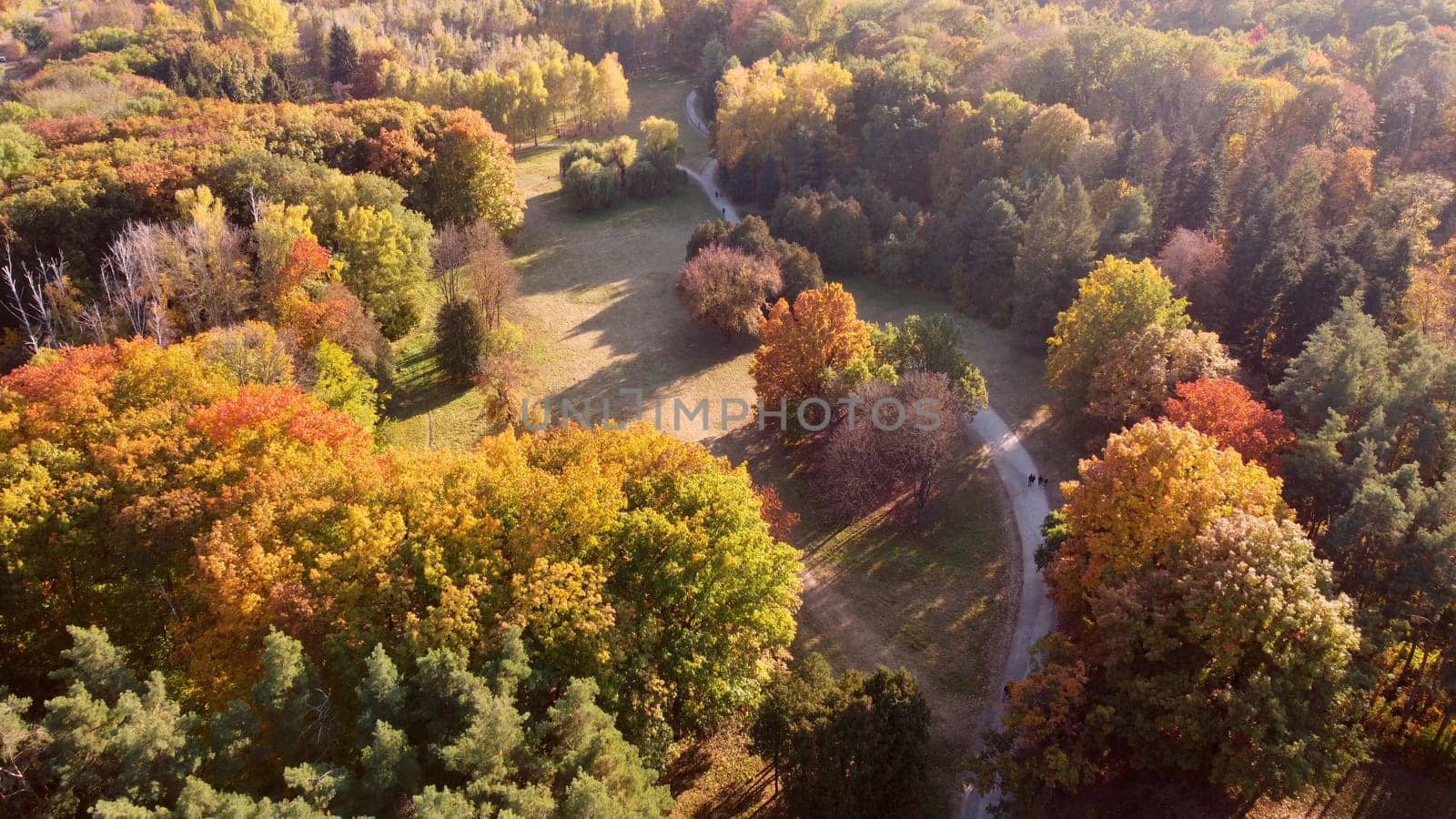 Flying over trees with yellow and green leaves in a park with dirt paths and people walking on a sunny autumn day. Forest wood woodland nature natural sunlight sunshine. Aerial drone view. Top view.