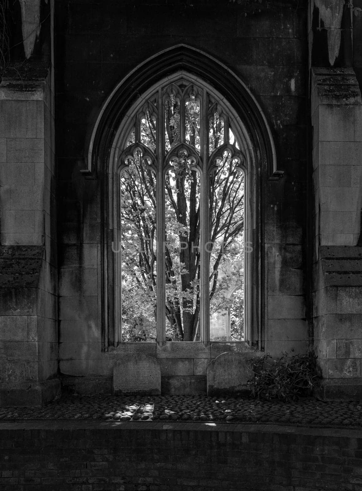 Monochrome view of the empty windows of St Dunstan church by steheap