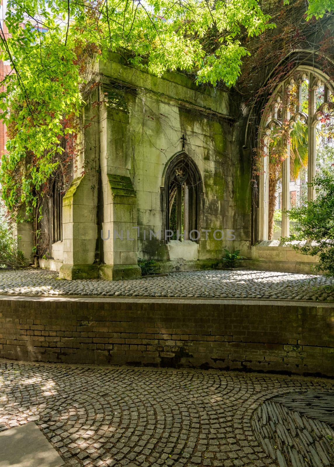 Creeping plants over the empty windows of St Dunstan church by steheap