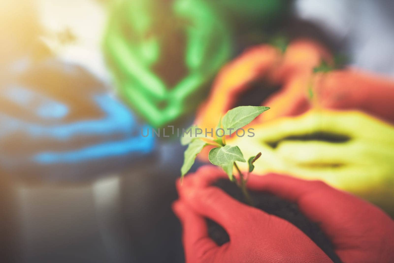 Such a small thing with such a big impact. unrecognizable people holding budding plants in their multi colored hands