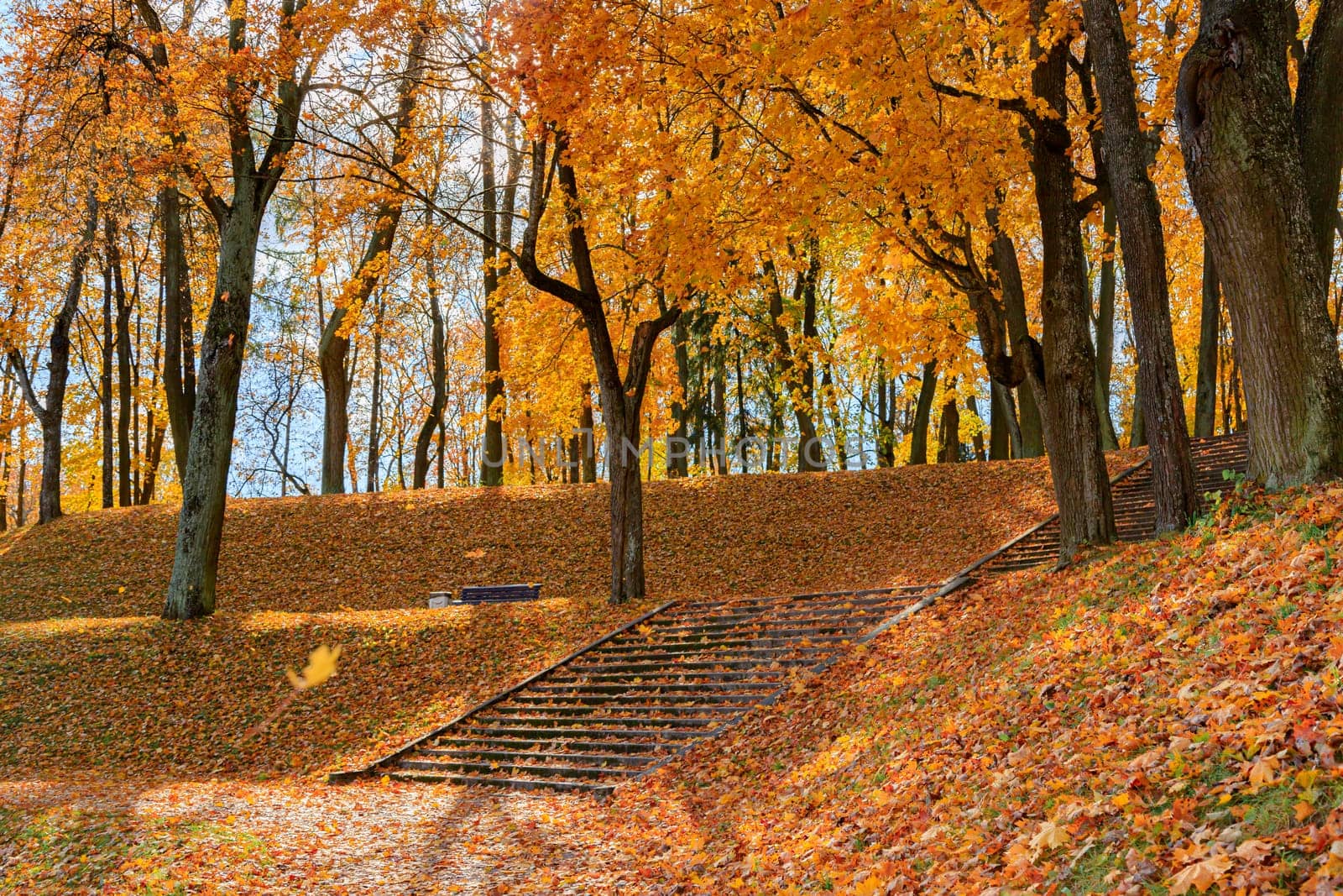 Autumn park landscape . Golden autumn in the city park. Photos on the calendar. Season. by alenka2194
