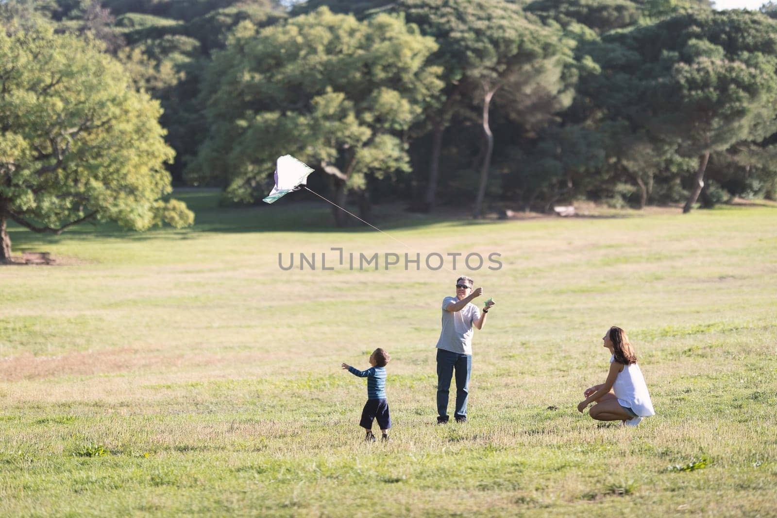 Young happy family flying a kite on the field by Studia72