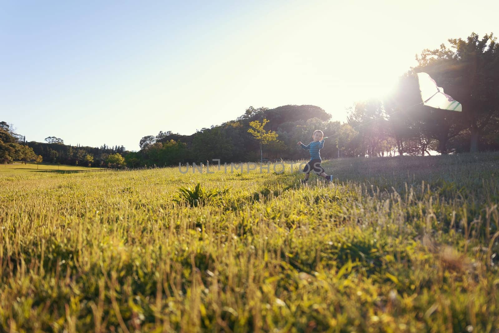 A little boy flying a kite on the field - bright sunshine. Mid shot