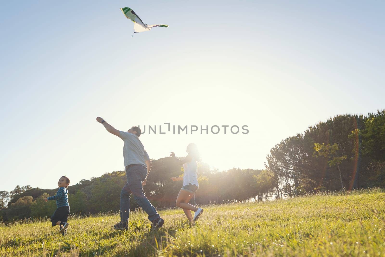 Happy family flying a kite on the field. Mid shot