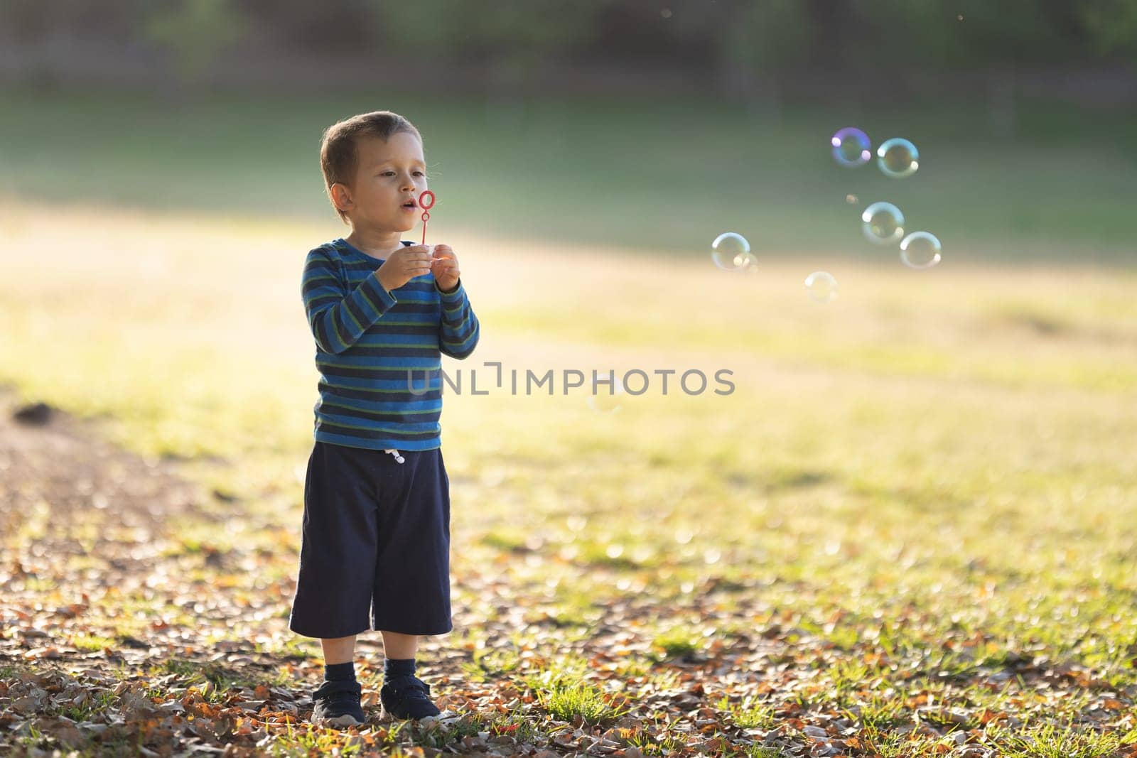 Cute little white boy blowing soap bubbles in the park. Mid shot