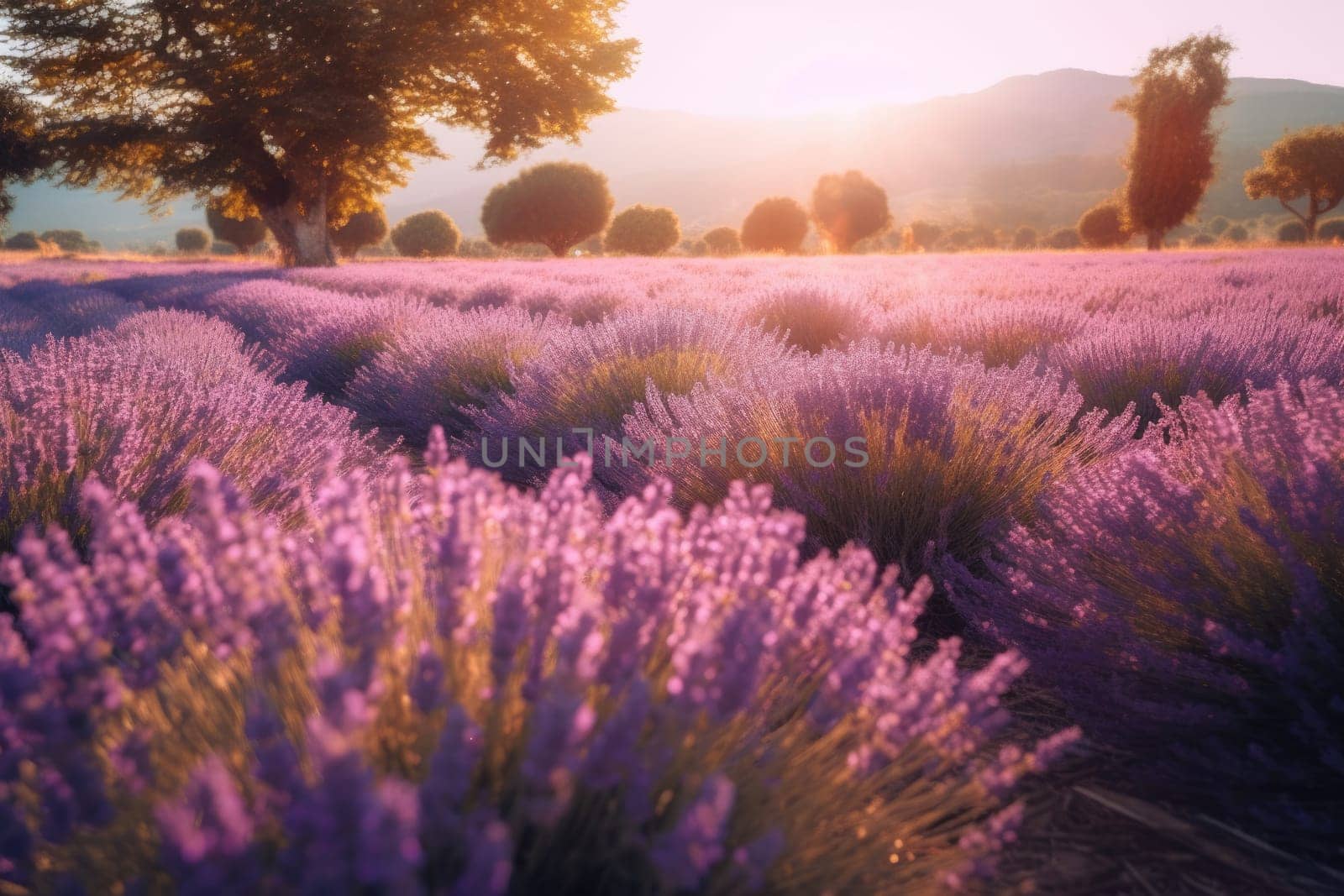 Sunset over a violet lavender field, AI Generative